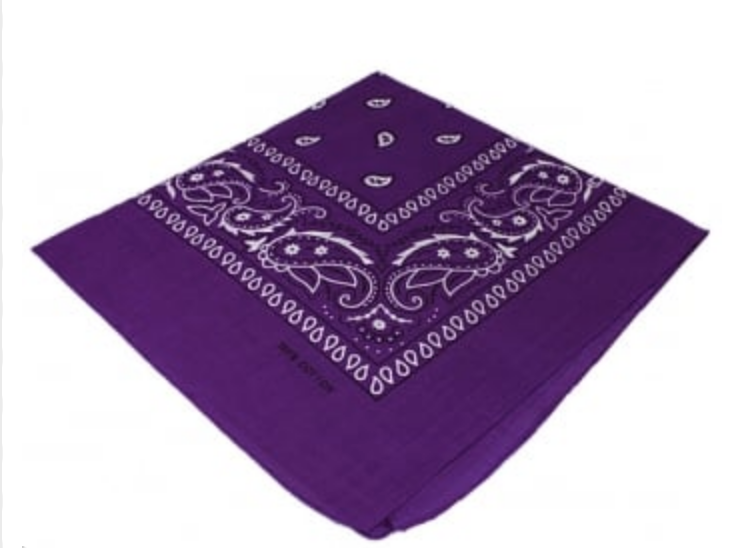 Classic Purple Paisley Bandana